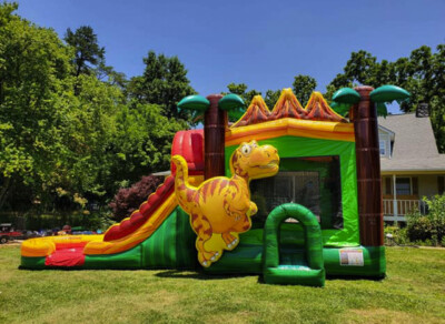 Dinosaur 5-in-1 Combo