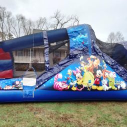 World of Disney Combo